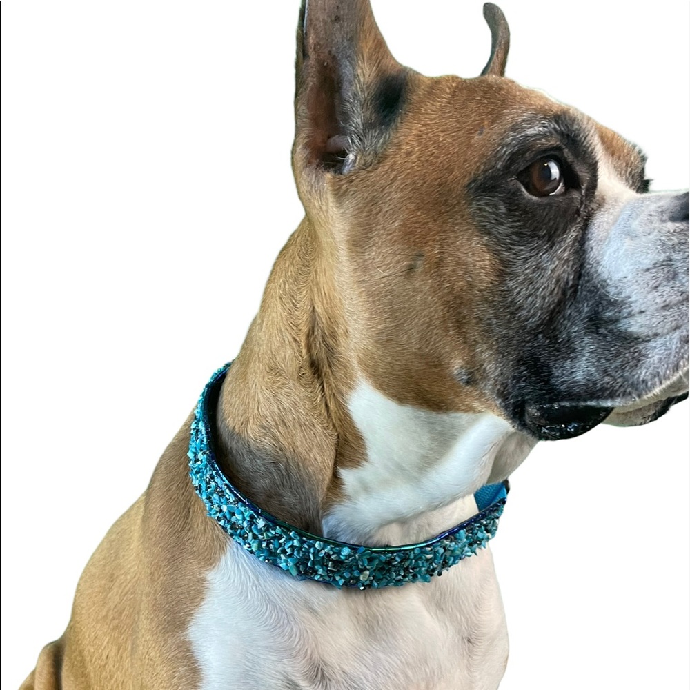 The turquoise mermaid - Turquoise rock mermaid scale dog collar 23-25”